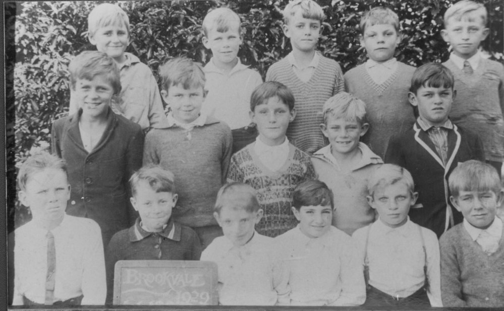 Brookvale Public School