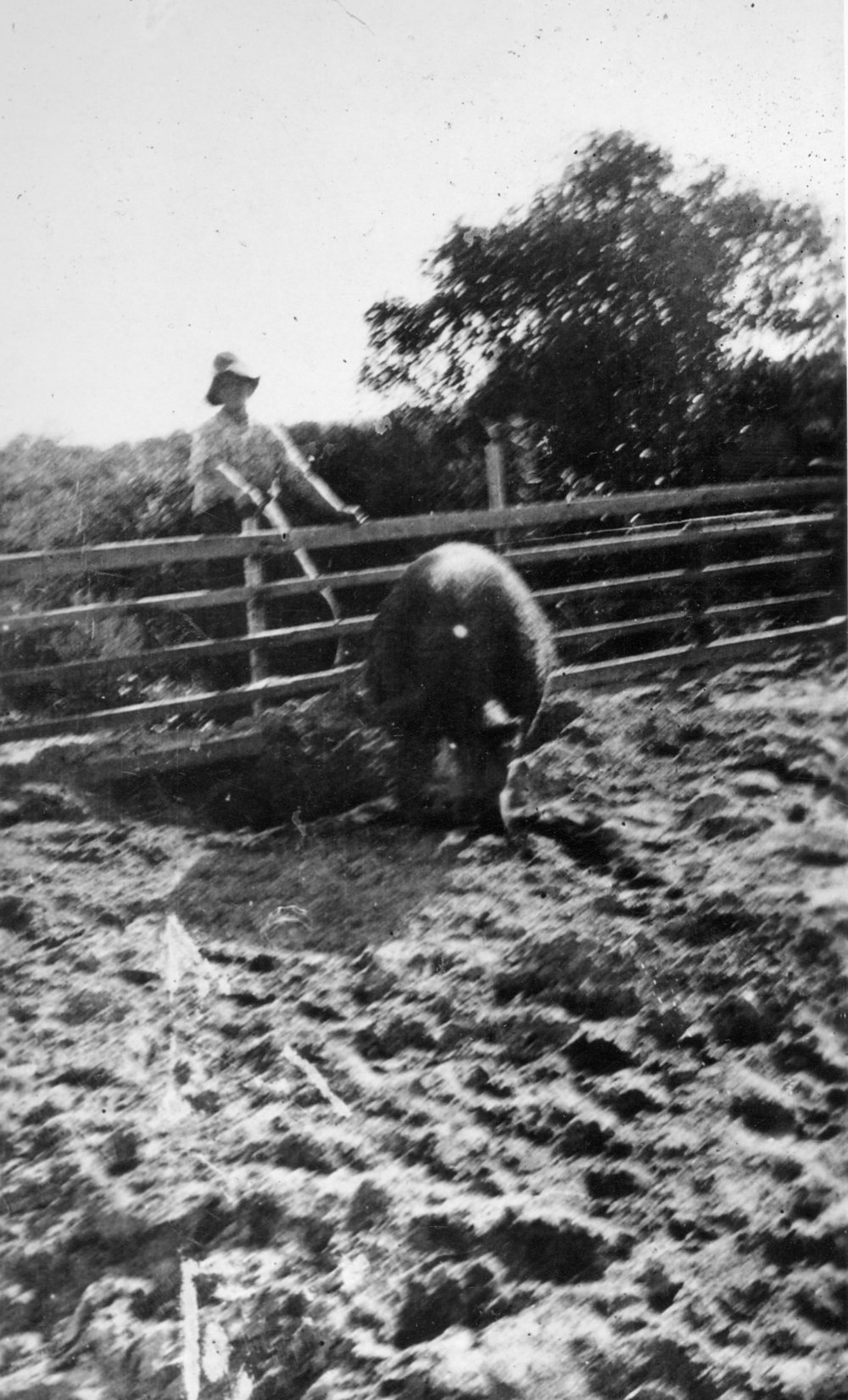 Sayce family at Abbott Road North Curl Curl