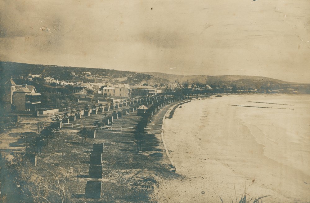 View facing north along Manly Beach, showing new tree plantings, 1886