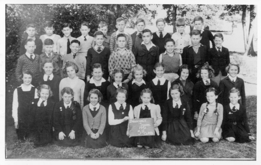 Brookvale Public School, 5th Class of 1951