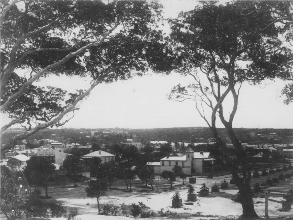 Elevated view from Manly Beach with newly planted pine trees, c1878
