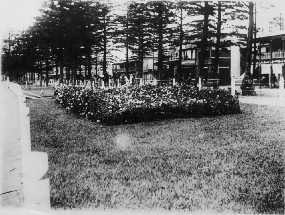 View facing south along North Steyne to the Corso, with central gardens, Manly, c1900s