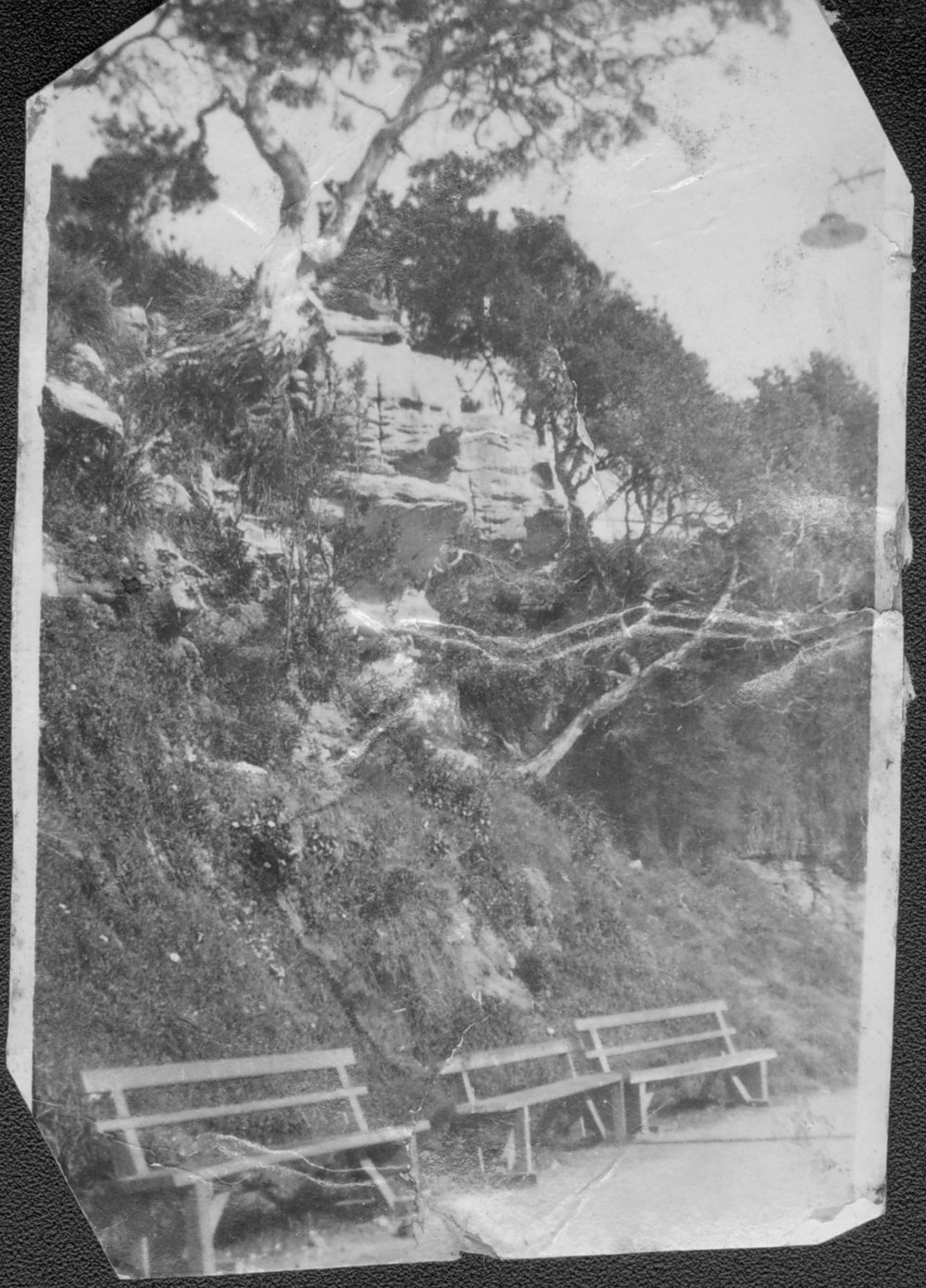 Fairy Bower Walkway, Manly, c1900s