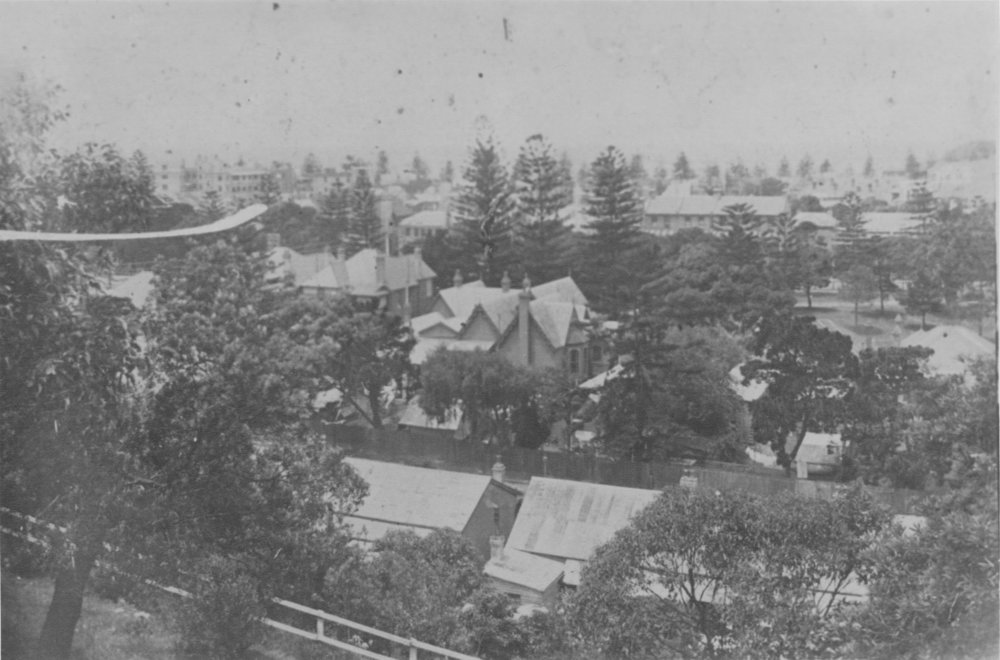 View over rooftops and trees, showing pine trees in distance