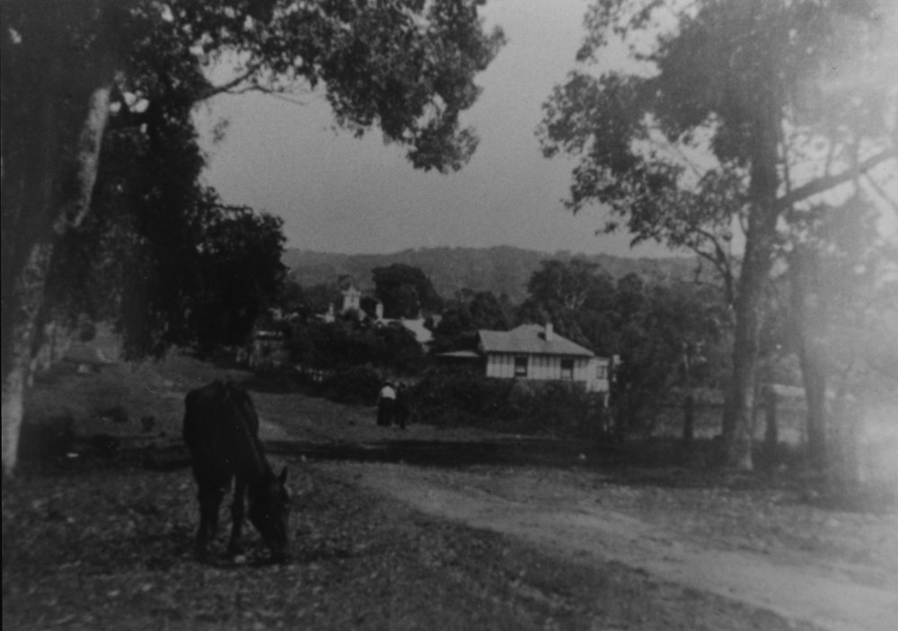 View along Park Street, Mona Vale towards the west showing the turret of Dungarvon  in the distance.