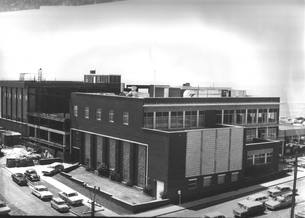 Harbord Diggers Club being extended in 1971