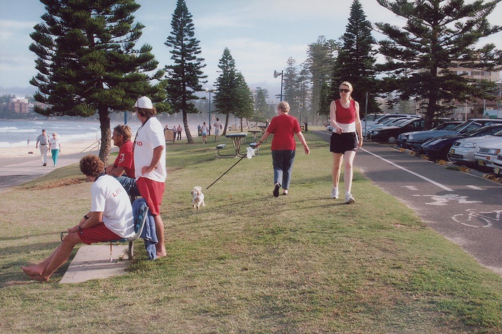 Surf lifesavers watching the surf, as people walk dogs on the grass esplanade, Queenscliff, 2005