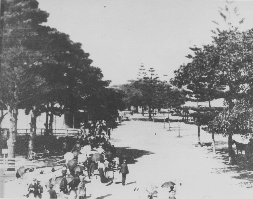 View northeast along The Corso, showing the picnic grounds of the Ivanhoe Park Hotel, Manly, c1875