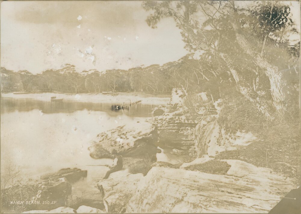 Early view of the eastern end of Manly Cove showing little but trees, Manly, c1800s