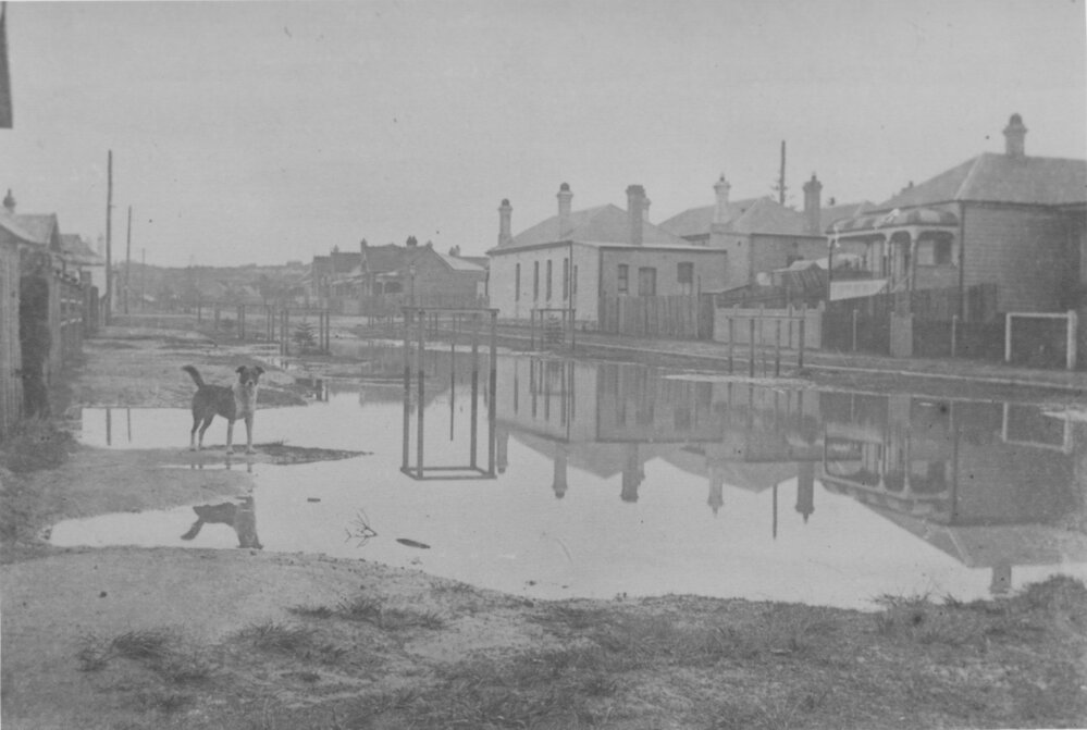Flooded street with houses and dog during the Manly Floods, Manly, c1880