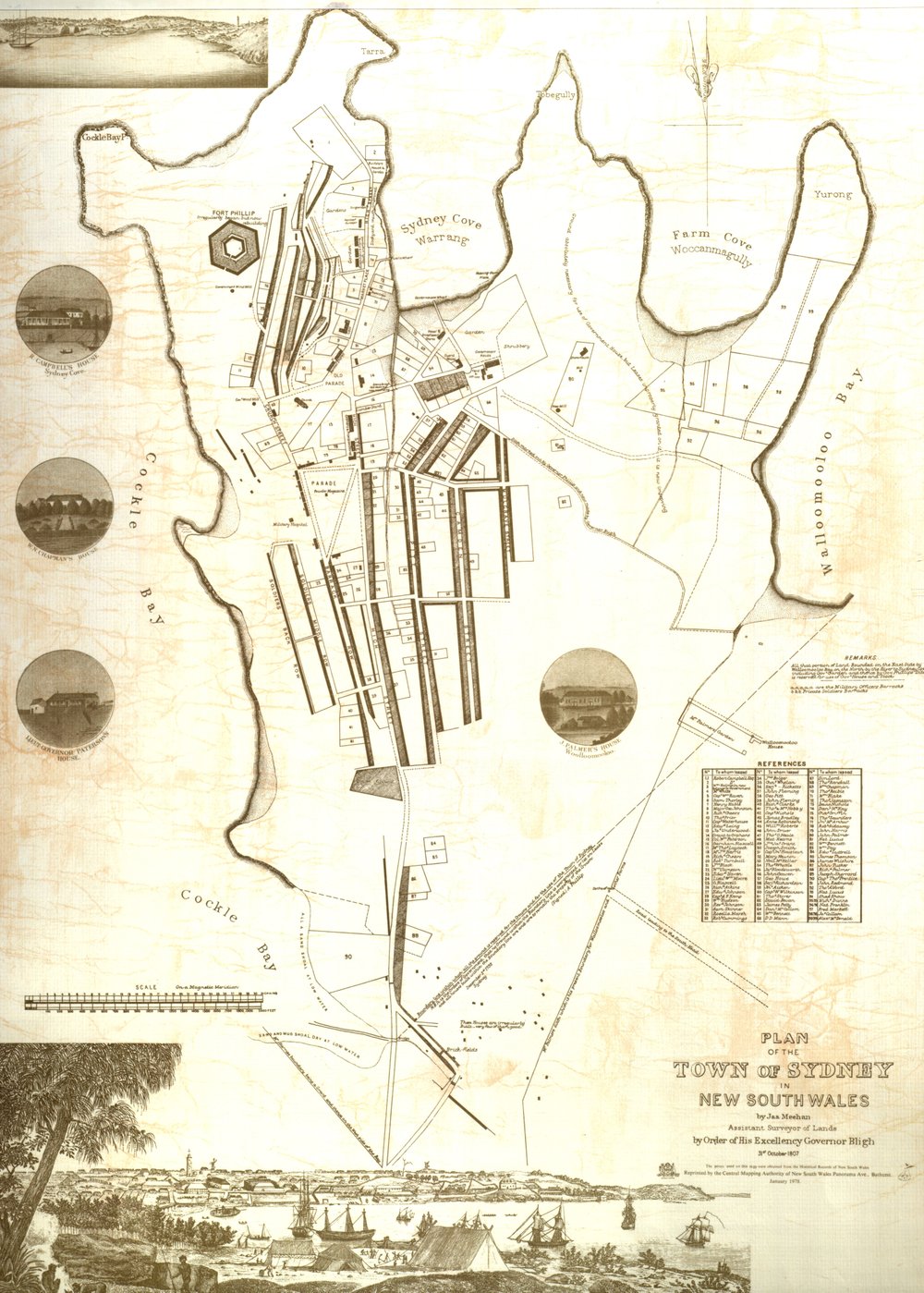 Plan of the town of Sydney in New South Wales
