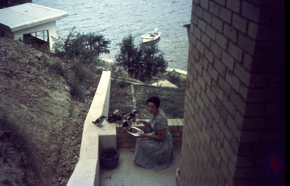 Margaret Pilgrim feeding kookaburras at 'Kanangra', McCarrs Creek West