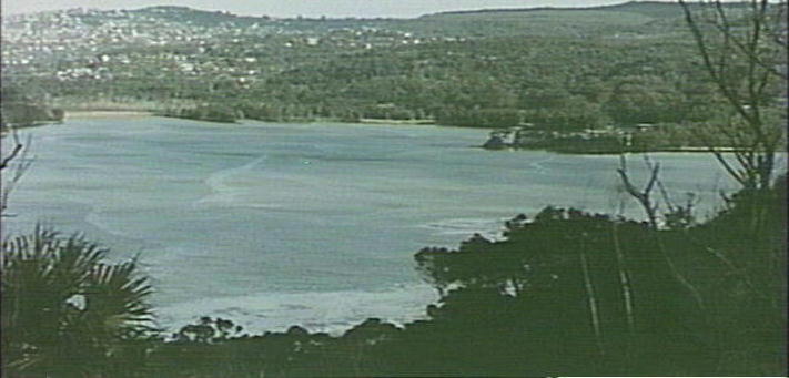 Narrabeen Lagoon looking towards Wheeler Heights