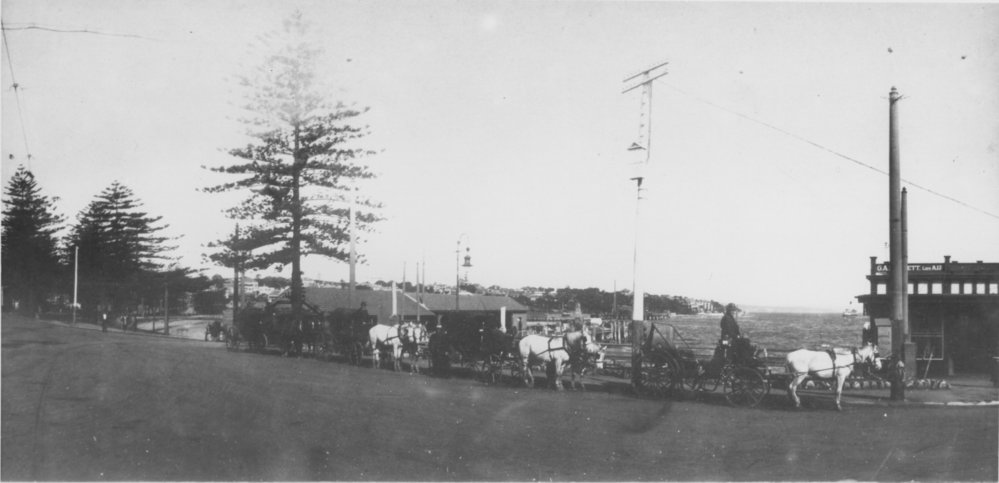 Pony Phaetons outside Manly Wharf, with the Cargo Wharf in the background, Manly, 1919