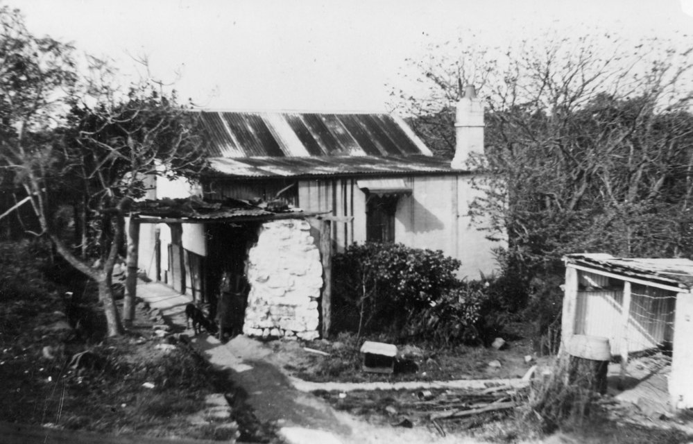 Turvey Farm, Penze family home, Belrose, 1940s