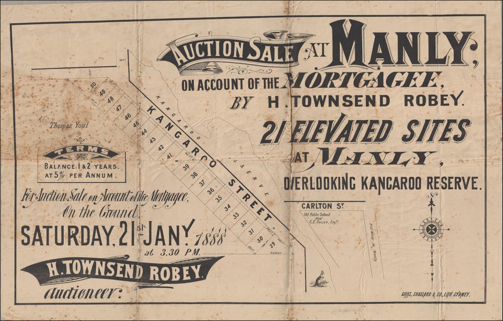 Auction Sale at Kangaroo Street, Manly, 21 January 1888: Subdivision Plan