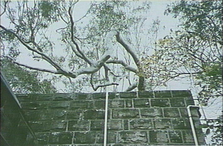 Burley Griffin Lodge, Avalon