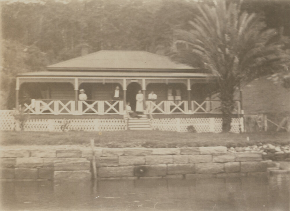 Canary Island Palm, Rostrevor, Church Point.