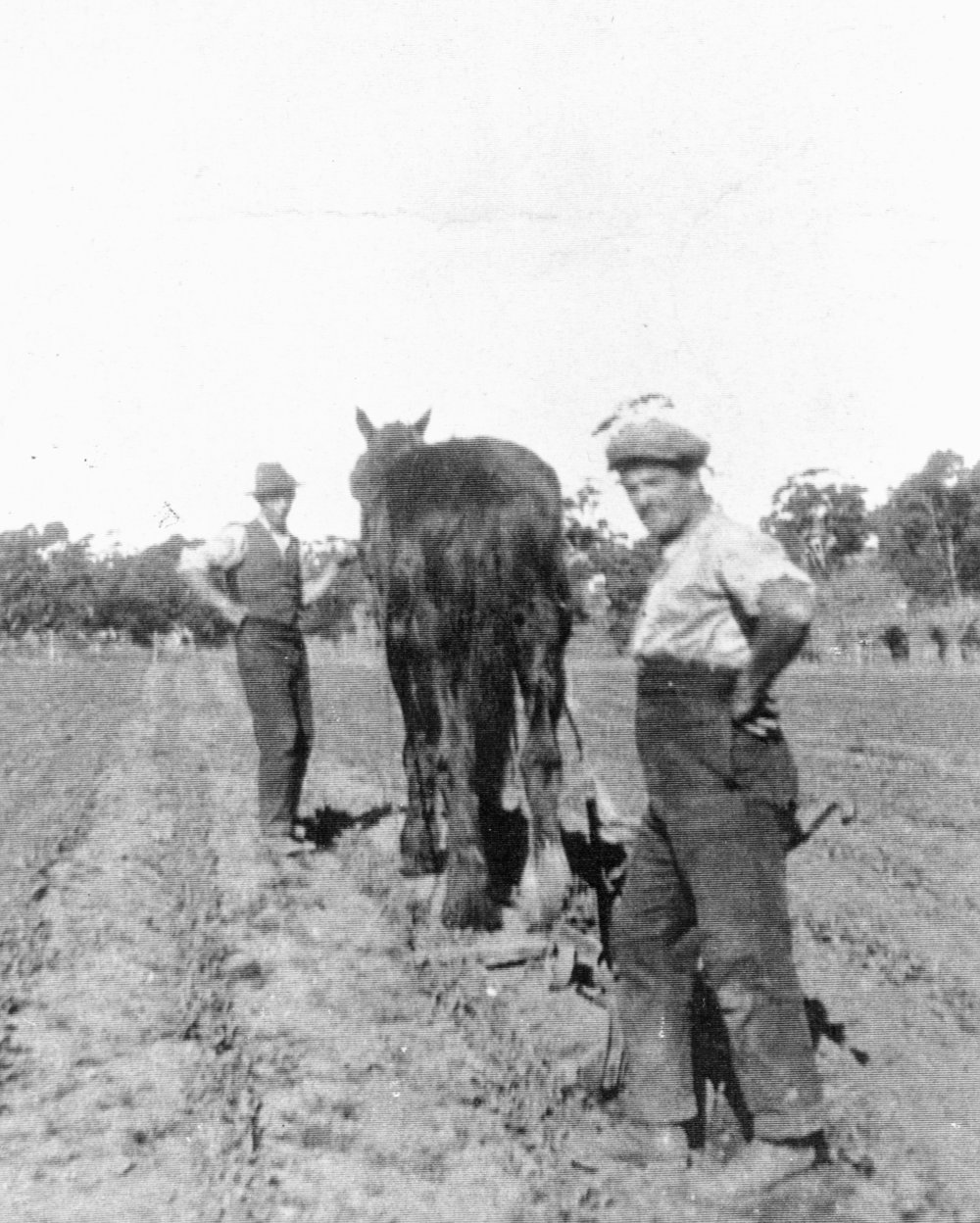 Aloisi Orchard,  Galston