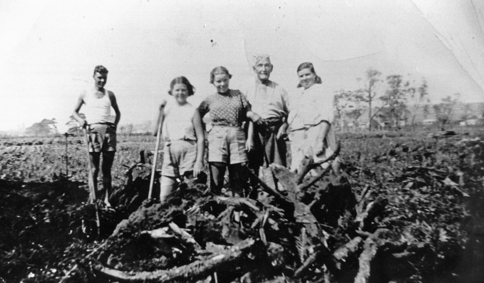 Aloisi family farm at Dee Why