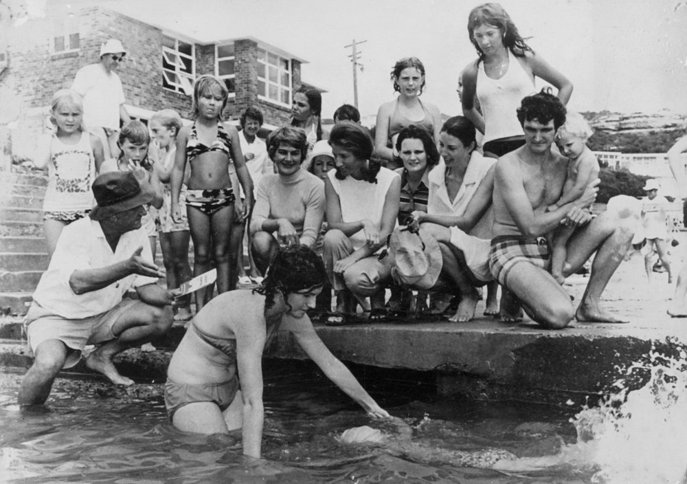 Swimming Lessons South Curl Curl rock pool