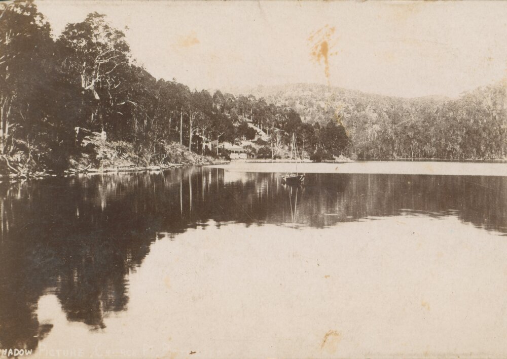 McCarrs Creek and Rostrevor