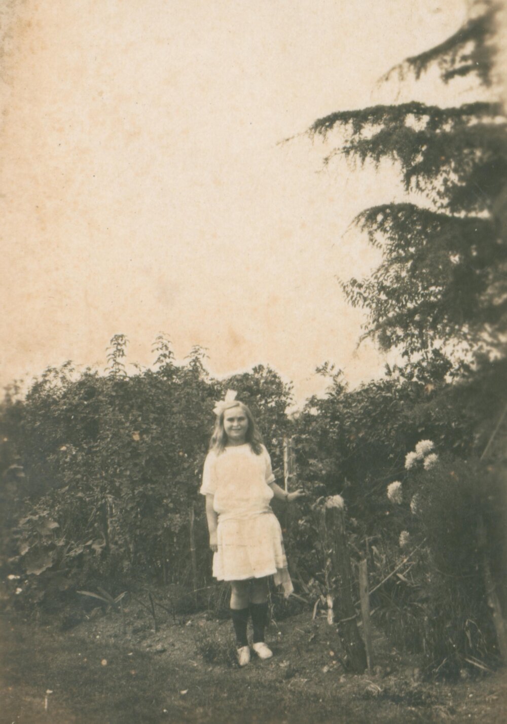 Relative of Elizabeth Duffy (Nee Ireland)