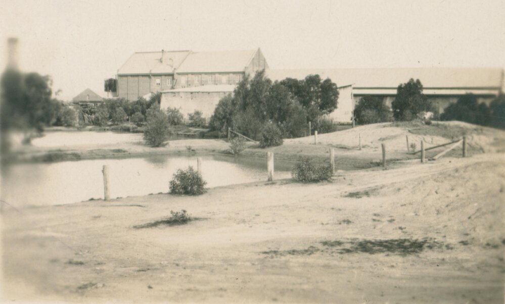 Crago Flour Mill, Bathurst.