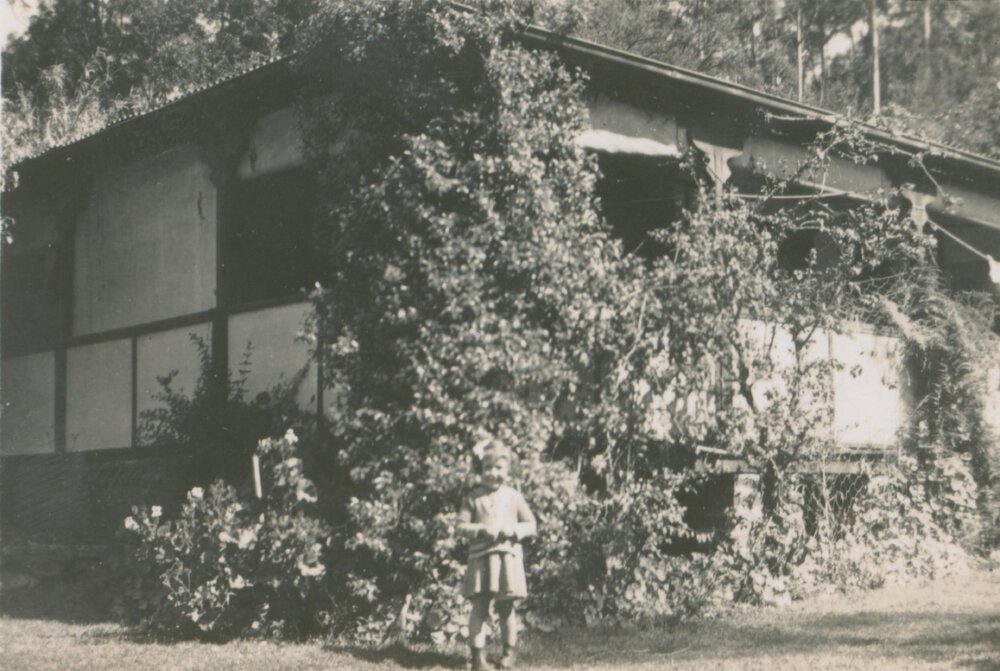Cottage behind Koala, Bayview.