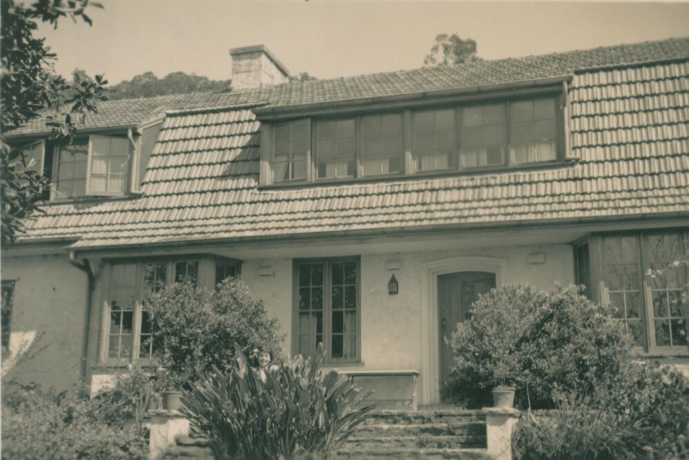 Front of Koala, Bayview.