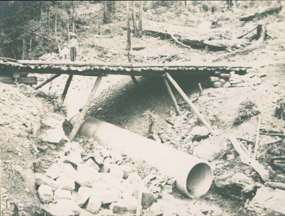 Terry and Ken Carter, McCarrs Creek.