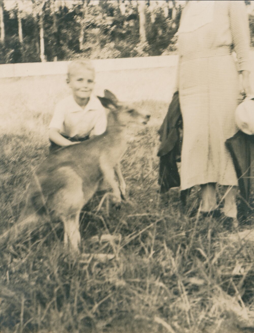 Ken Carter, Wentworth Falls.