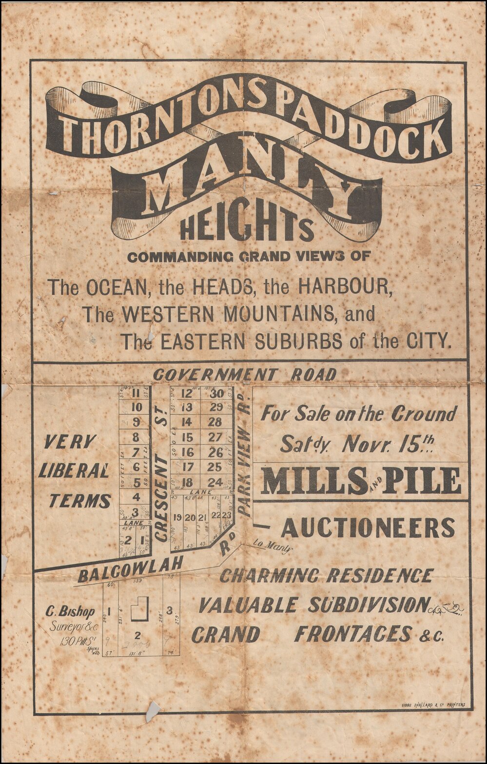Thorntons Paddock Estate, Manly, 1884: Subdivision Plan