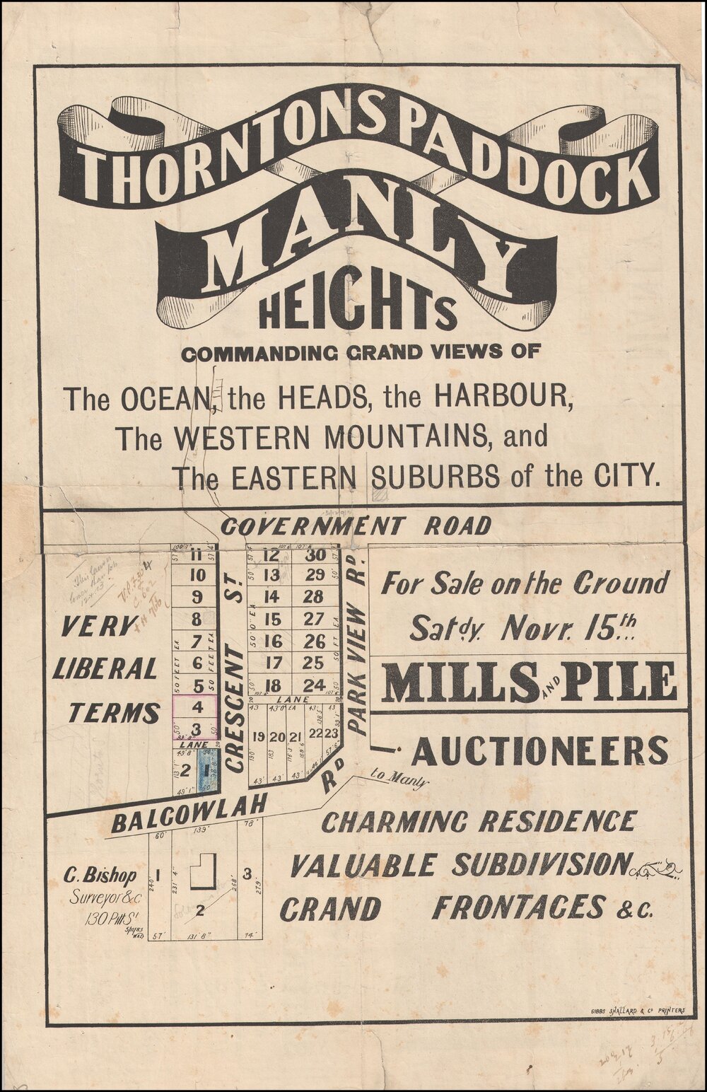 Thorntons Paddock Estate, Manly, 15 November 1884: Subdivision Plan