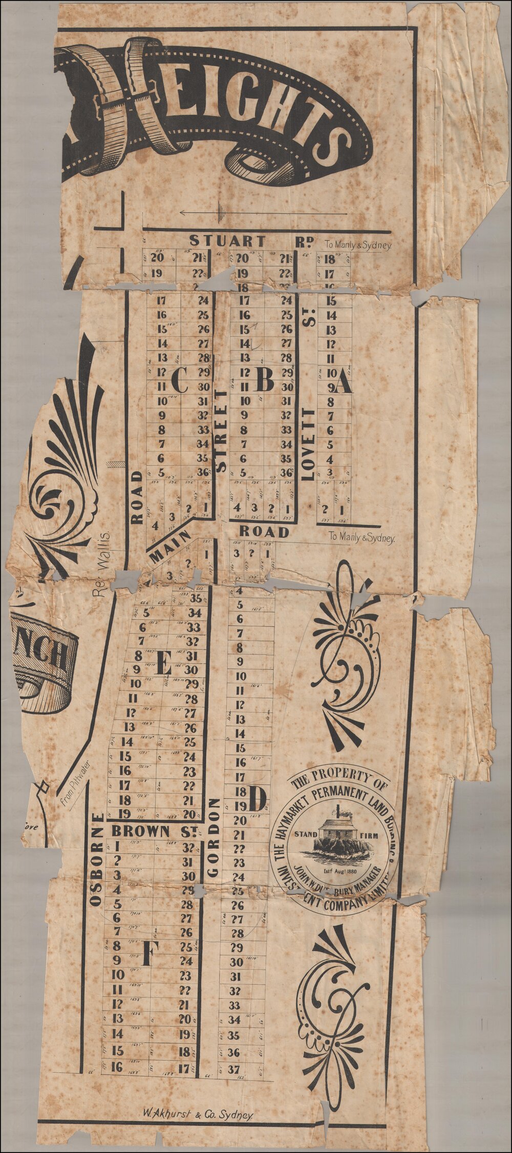 Gordon Heights Estate, Manly Vale, c1890s: Subdivision plan