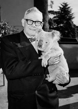 Portrait of Sir Edward Hallstrom holding a koala, c1960s