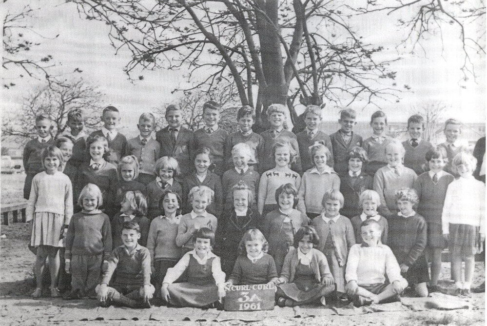 Curl Curl North Primary School, Class 3A of 1961