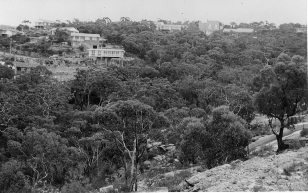 View from Doulton Avenue, Beacon Hill
