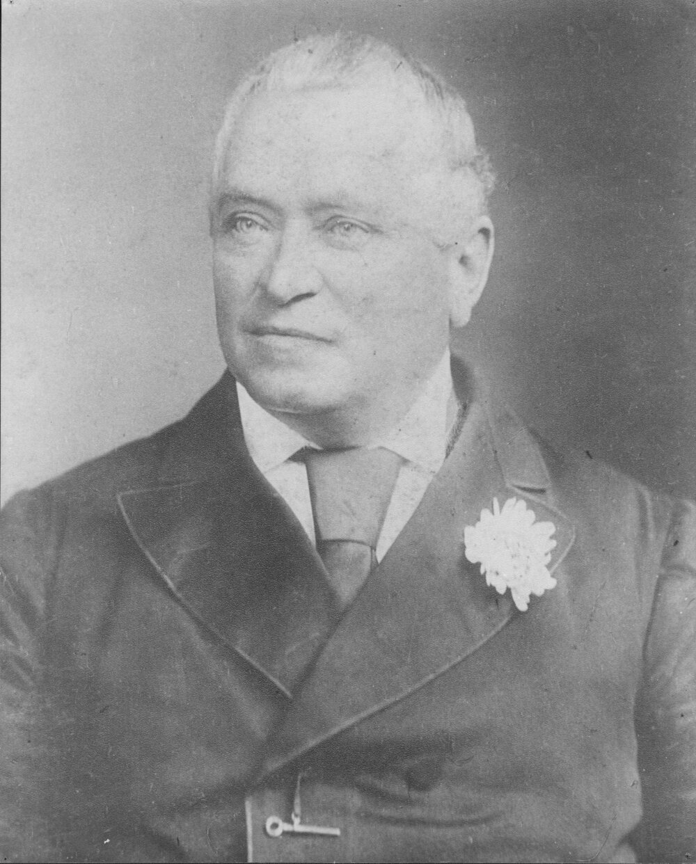 Portrait of the Honourable William Bede Dalley, QC, MLC (1831-1888)