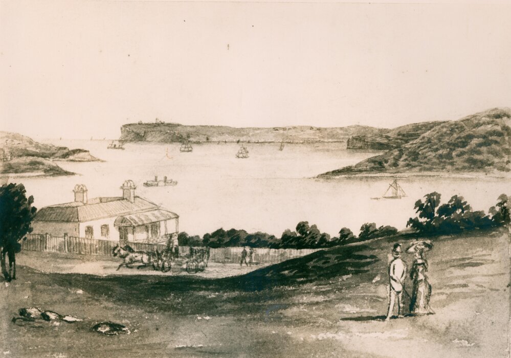 From Fairview above Mr Board's House, Manly, c1885