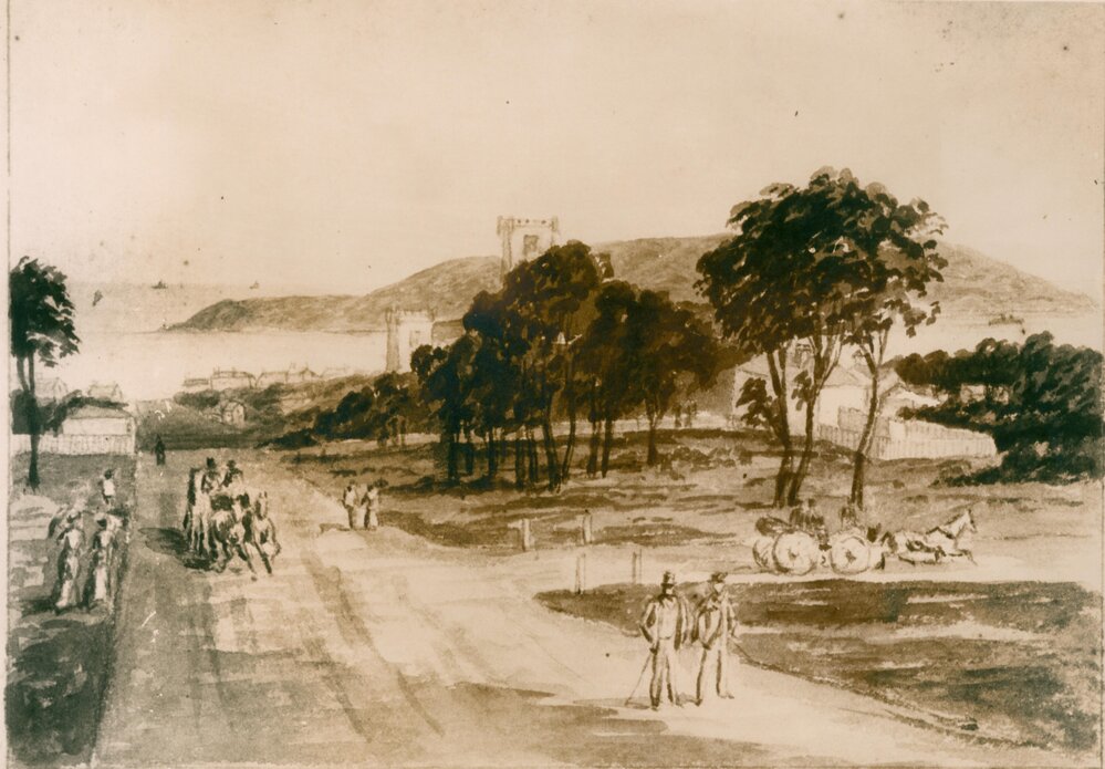 Sebastopol Street and view of the ocean from Fairview, Manly, c1855