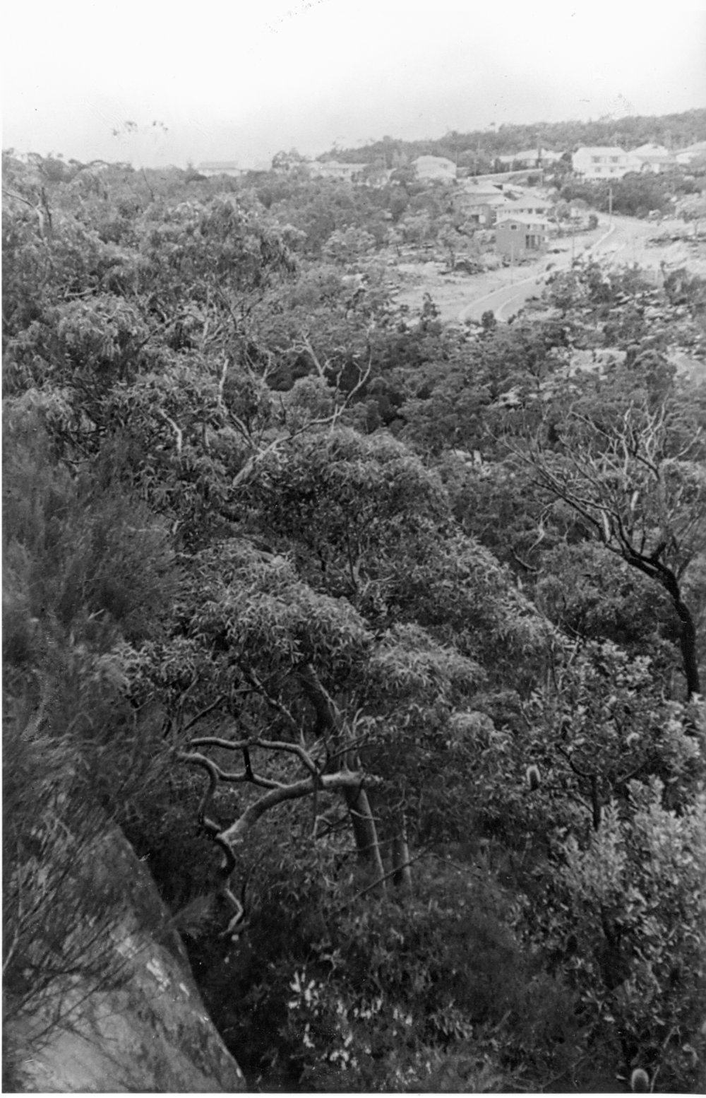 Doulton Avenue, Beacon Hill