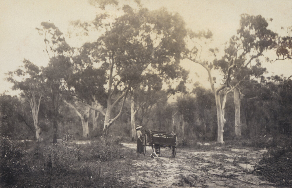 Corrie Road North Manly c1912