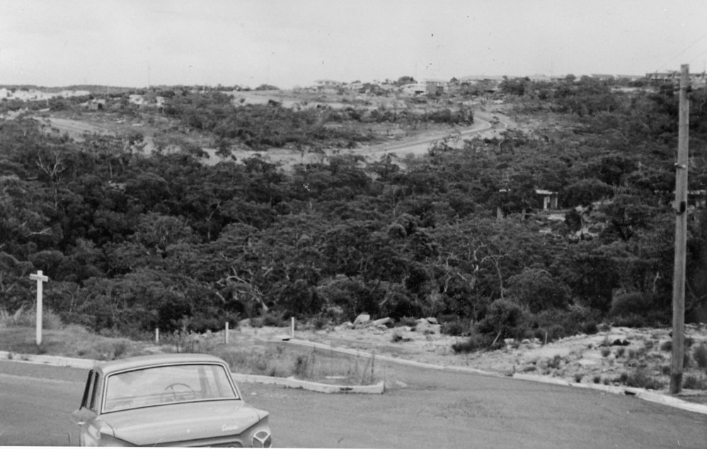 Doulton Avenue, Beacon Hill