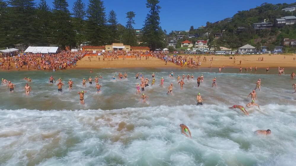 'Big Swim' from Palm Beach to Whale Beach  