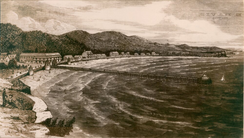 Proposed pier for ocean beach, Manly, 1878
