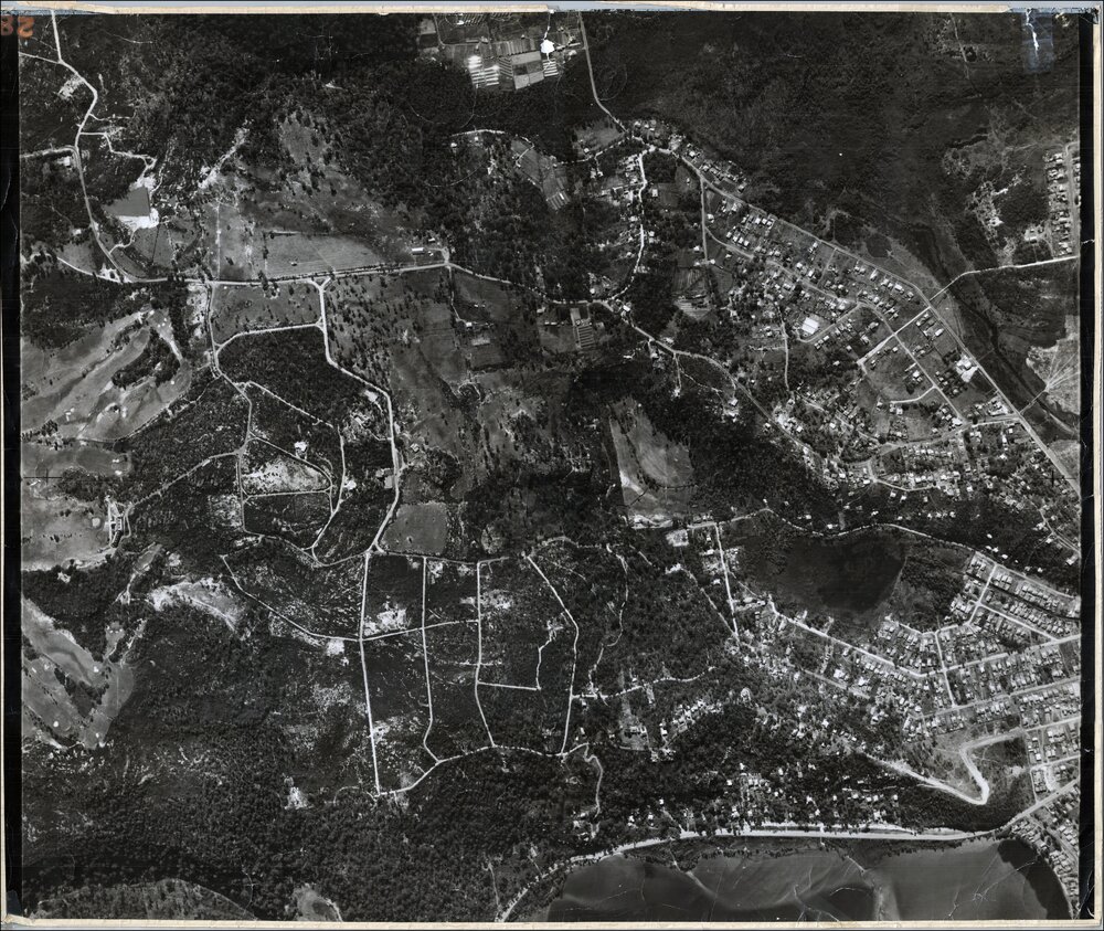 Aerial photograph of Elanora Heights and North Narrabeen, 1951