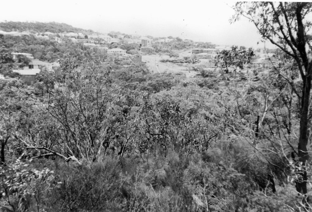 Doulton Avenue, Beacon Hill