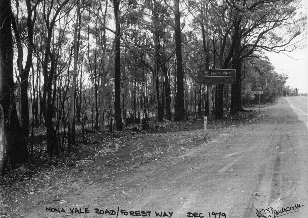 Mona Vale Road, Terrey Hills after 1979 bushfire
