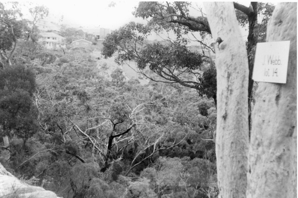 Doulton Avenue, Beacon Hill